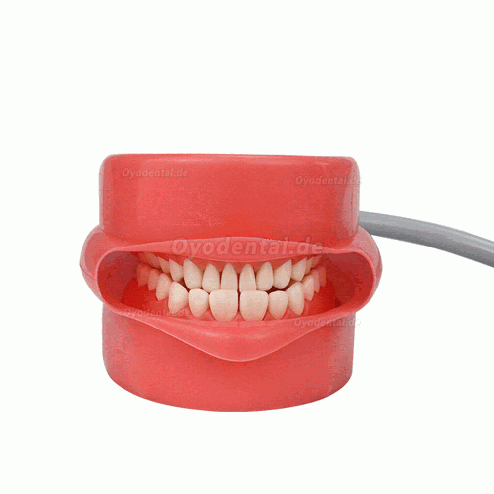 Phantomkopf Zahnmedizin für Kopfstütze des Zahnarztstuhls Kompatibel mit Nissin Kilgore/ Frasaco