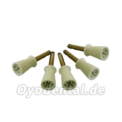 30 Dental Polisher Prophylaxe Kelche & Poliersbürste 30 Dental Polisher Prophylaxe Kelche & Poliersbürste