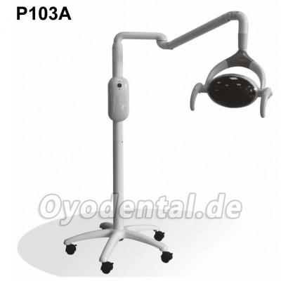 28W Dental Oral Licht Led Chirurgische Beleuchtung 6 LED P103A Farbe Temperatur 4500K/3000K 28W Dental Oral Licht Led Chirurgische Beleuchtung 6 LED P103A Farbe Temperatur 4500K/3000K