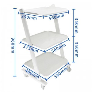 Dental Equipment Medizinischer Stahlwagen Trolley Arzt Zahnarzt Trolley für Spa Salon