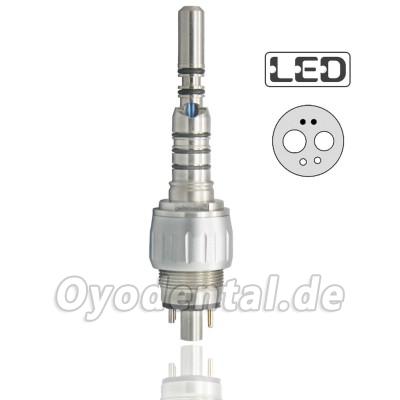 Being® 302PBQ Lichtwellenleiter Handstück Kupplung KAVO Multiflex Kompatibel Being® 302PBQ Lichtwellenleiter Handstück Kupplung KAVO Multiflex Kompatibel