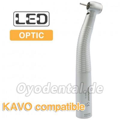 YUSENDENT® COXO CX207-GK-SP Dental Turbine Handstück kompatibel mit KAVO (KEIN Schnellwechsler)