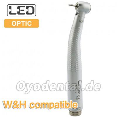 YUSENDENT® CX207-GW-TP Dentalturbinenhandstück Kompatibel mit W&H (Keine Schnellkupplung)