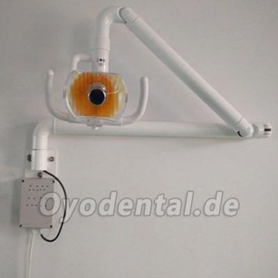 50W Wandbehang Zahnheilkunde Medizinische Mundleuchte mit Arm Shadowless kaltes Licht