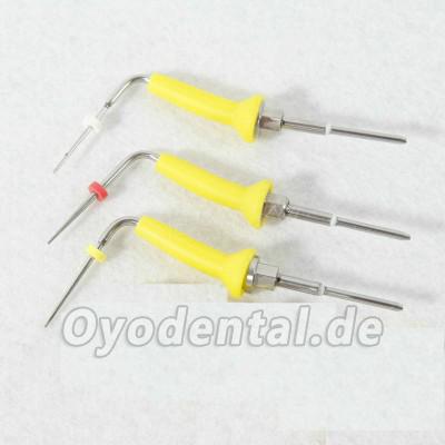 3 Stück Dental Percha Gutta Stiftspitze für Endodontie Obturationssystem