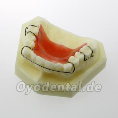 Dentalmodell # 3007 01 - Hawley-Halterungsmodell