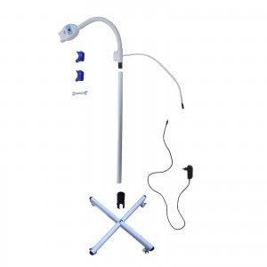 Mobile Led Zahnaufhellung Lampe Bleichbeschleuniger mit Rad