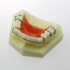 Dentalmodell # 3007 01 - Hawley-Halterungsmodell