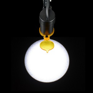 Dental Medical 5W LED-Scheinwerfer mit Filterkopfbügelscheinwerfer + Aluminiumbox