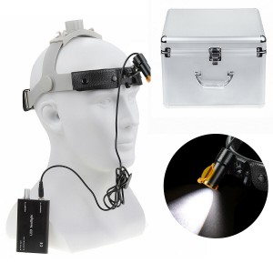 Dental Medical 5W LED-Scheinwerfer mit Filterkopfbügelscheinwerfer + Aluminiumbox