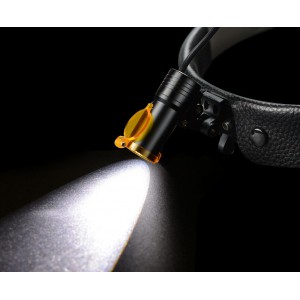 Dental Medical 5W LED Head Light w/ Filter Headband Headlamp ENT Oral Gynecology