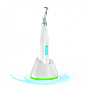 Yusendent COXO C-smart Mini AP 2 in 1 Motor de Endodontie mit Apexlokalisator
