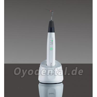 Denjoy iPack Guttapercha Obturationsstift Kabellos