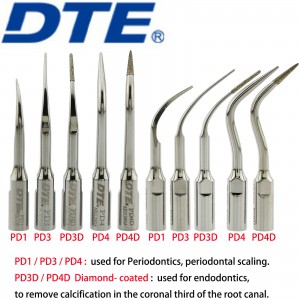 10 Stück Woodpecker DTE Ultraschallspitzen Endodontie Parodontal Kompatibel mit NSK Satelec