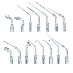 10Pcs Woodpecker Ultraschallspitzen Endodontie Spitzen E1 E2 E3 E3D E4 E4D E5 E5D E8 E9 E10D E11 E11D E14