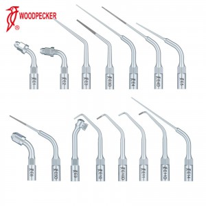 10Pcs Woodpecker Ultraschallspitzen Endodontie Spitzen E1 E2 E3 E3D E4 E4D E5 E5D E8 E9 E10D E11 E11D E14