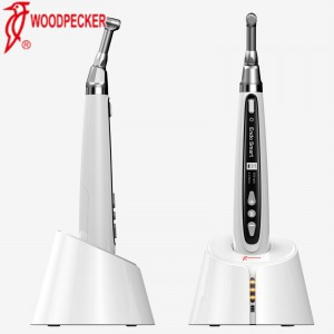 Woodpecker Endo Smart+ Motor de Endodontie mit mit Hin- und Herbewegung Schnurlos