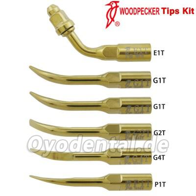 Woodpecker DTE Ultraschall Spitzen Kit Endodontie Parodontologie G1T G2T G4T P1T E1T