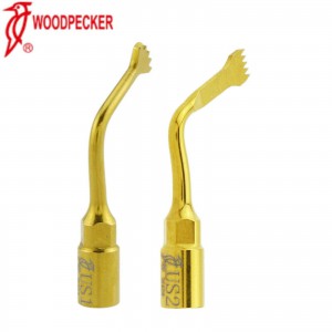 Woodpecker Zahnärztliche Ultraschall-Knochenchirurgie Spitzen US1 US2 Kompatibel mit EMS Woodpecker Mectron