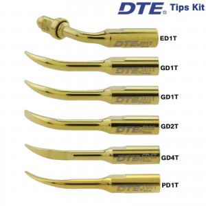 Woodpecker DTE Dental Ultraschall Spitzen Skalierung Endodontie GD1T GD2T PD1T ED1T Kompatibel mit Satelec / NSK