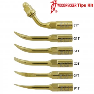 Woodpecker DTE Ultraschall Spitzen Kit Endodontie Parodontologie G1T G2T G4T P1T E1T