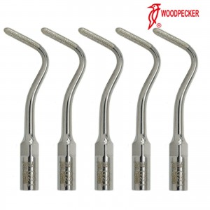 5Pcs Woodpecker G21 Dental Ultraschall Spitzen Diamantbeschichtete Dentinpolitur Kompatibel mit EMS PIEZON