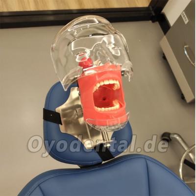 Phantomkopf Zahnmedizin für Kopfstütze des Zahnarztstuhls Kompatibel mit Nissin Kilgore/ Frasaco