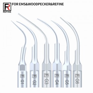 10 Stück Ultraschall Spitzen G1 G2 G3 G4 G5 G6 GD1 GD2 GD3 GD4 GD5 GD6 Kompatibel mit EMS Woodpecker