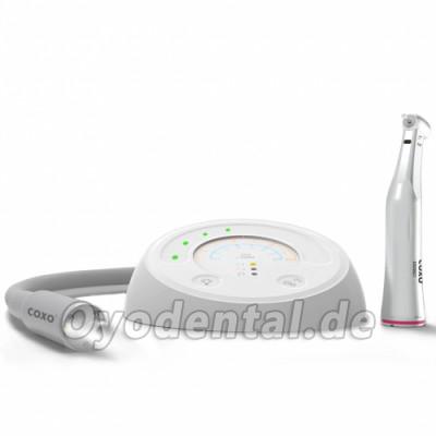 YUSENDENT COXO C-puma Mini Dental Elektromotor mit 1:5 Winkelstück