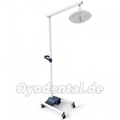 KWS KD-2036L-4 80W Mobile Dental LED OP-Leuchte Standgerät mit 4 Rollen
