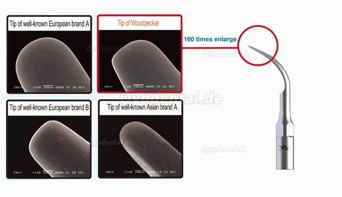 10Pcs Woodpecker Ultraschallspitzen Endodontie Spitzen E1 E2 E3 E3D E4 E4D E5 E5D E8 E9 E10D E11 E11D E14