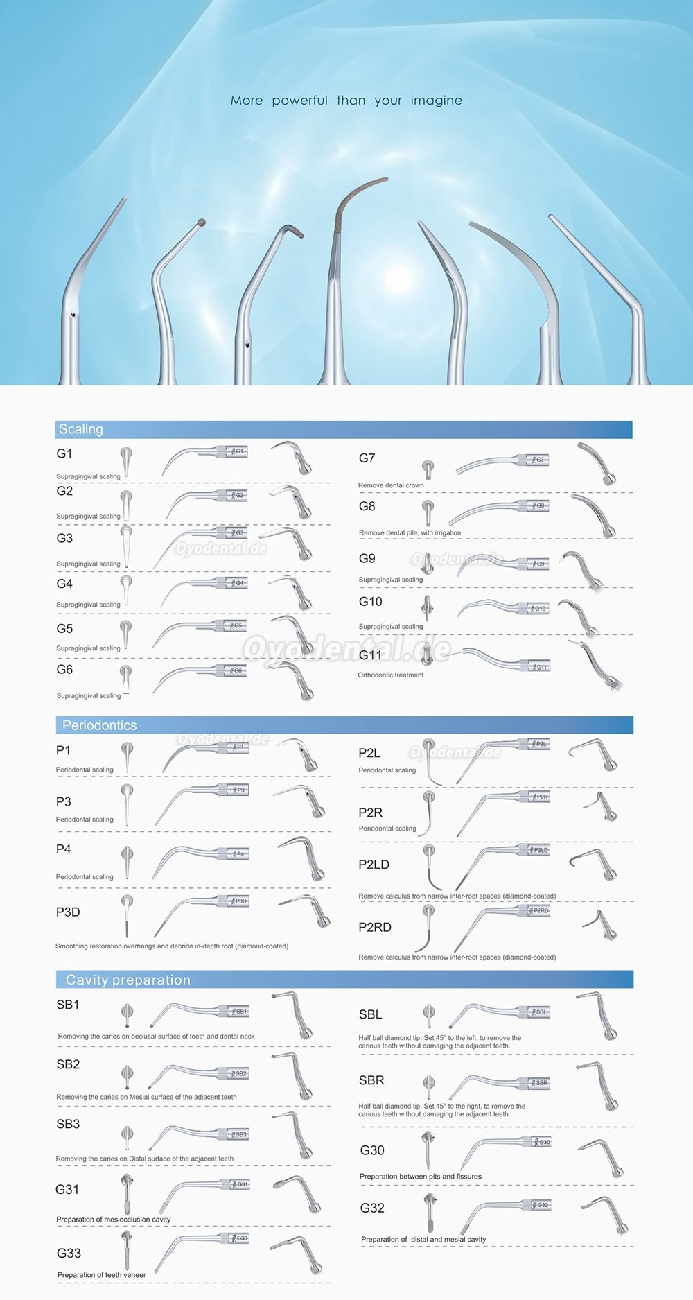 10Pcs Woodpecker Ultraschallspitzen Endodontie Spitzen E1 E2 E3 E3D E4 E4D E5 E5D E8 E9 E10D E11 E11D E14