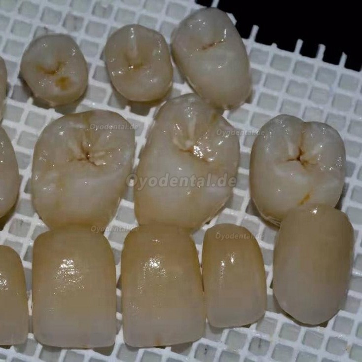 1 Stück 3D ProMax Zirkonzahn Ronden Zirkonblöcke Dentallabor CAD/CAM Keramikblock