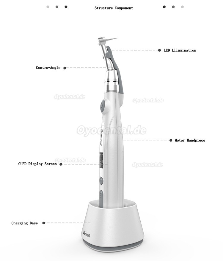 BYOND Endowell-1 Endodontie-Mikromotor mit Apexlocator Kabellos