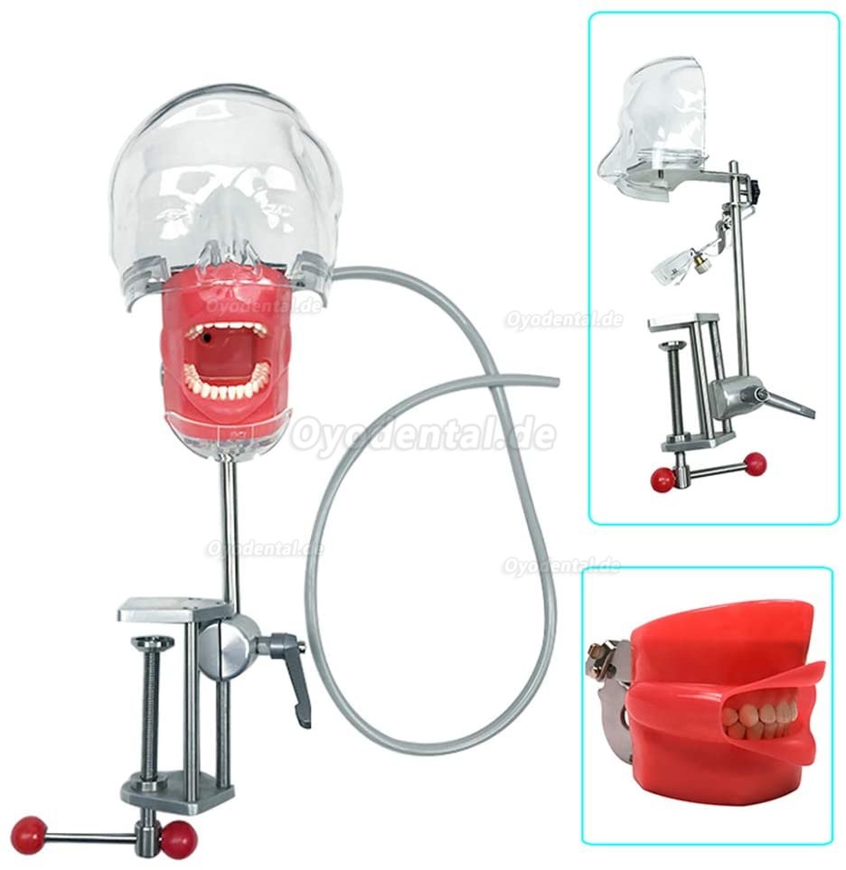 Greeloy Tragbare Dentaleinheit GU-P206 + Polymerisationslampe + Dentalhandstück-Set + Phantomkopf