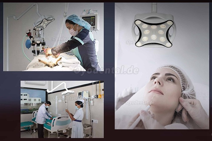 Micare JD1700 Dental Deckenmontierte OP-Leuchte LED-Operationsleuchte Schattenlos Operationslampe Untersuchungsleuchte