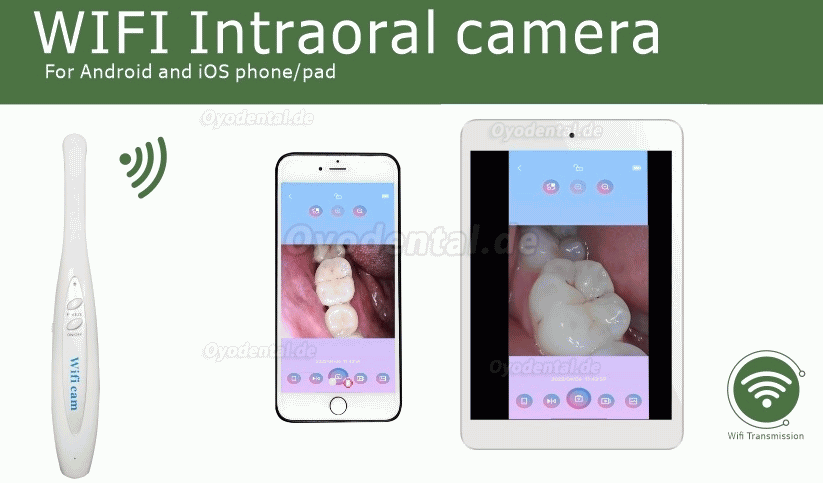 Dental Wireless WiFi Oral Intraoralkamera für Mobiltelefon und iPad