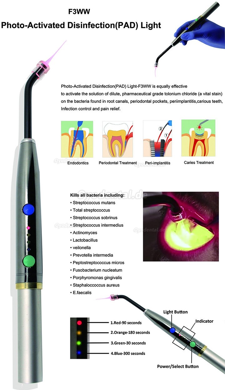 Dental Photoaktivierter Desinfektionslaser 650nm PAD-Licht Mundheilung Laser-Behandlung