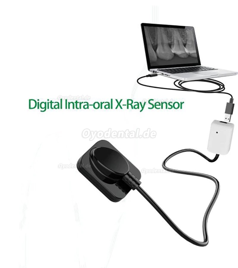 Dental RVG Digitaler Röntgensensor Intraoraler Röntgensensor Intraoralsensoren