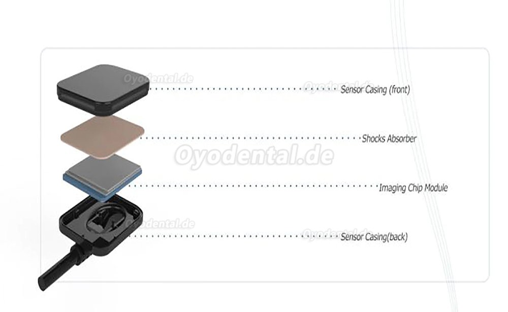 Dental RVG Digitaler Röntgensensor Intraoraler Röntgensensor Intraoralsensoren