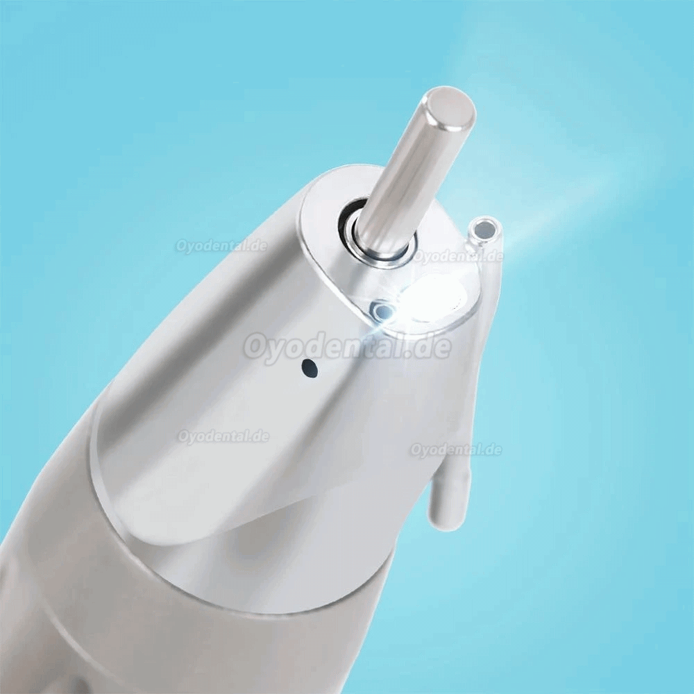 Westcode X65L Dental-Faseroptik Gerades Handstück E-Typ