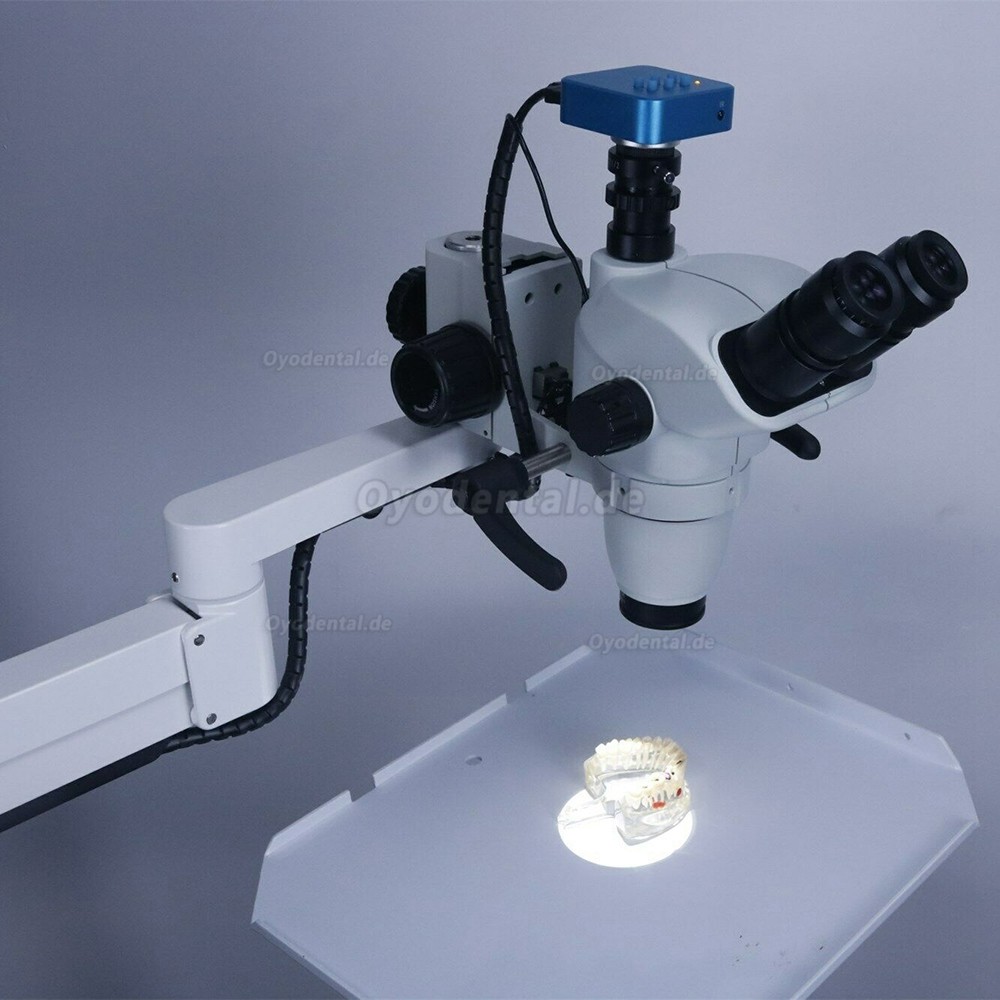 Mobiler Trolley-Typ Wurzelkanaltherapie-Mikroskoplupen mit Kamera