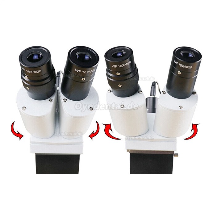 10X Endodontisches Mikroskop für zahnärztliche Chirurgie mit LED-Licht für Behandlungsstuhl 10X Endodontisches Mikroskop für zahnärztliche Chirurgie mit LED-Licht für Behandlungsstuhl