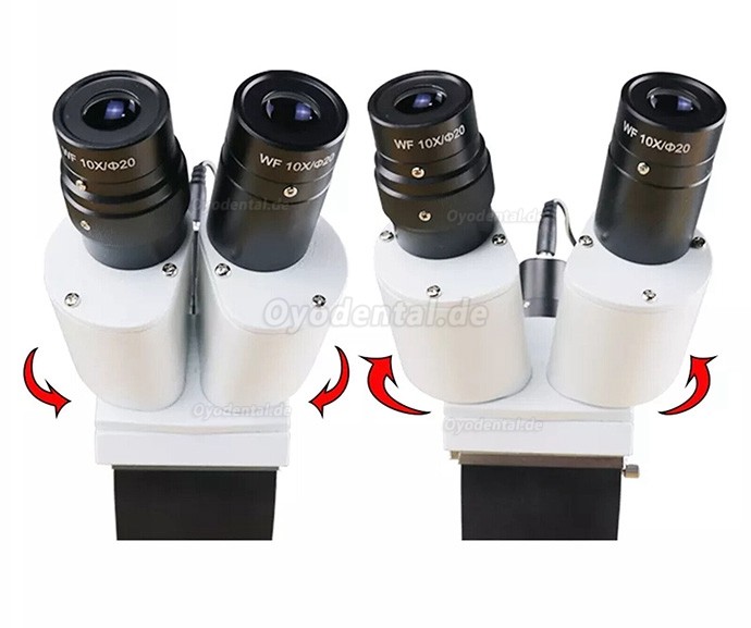 10X/15X/20X Dental Operating Endo Microscope Endodontic Surgical Microscope Table Desk Mounted